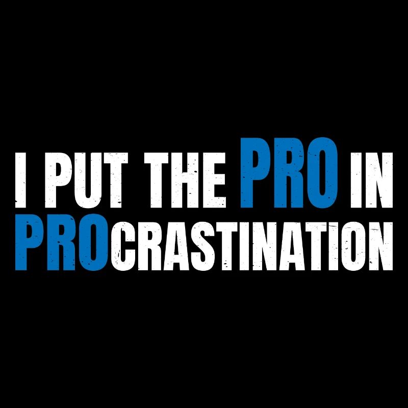 Je mets le pro dans la procrastination 15