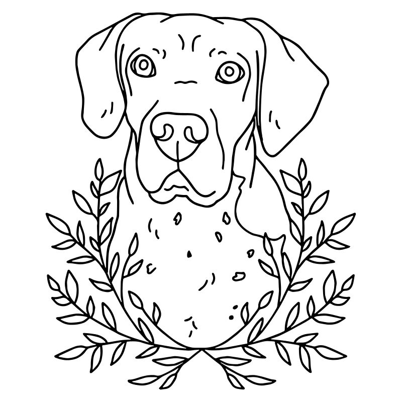 chien