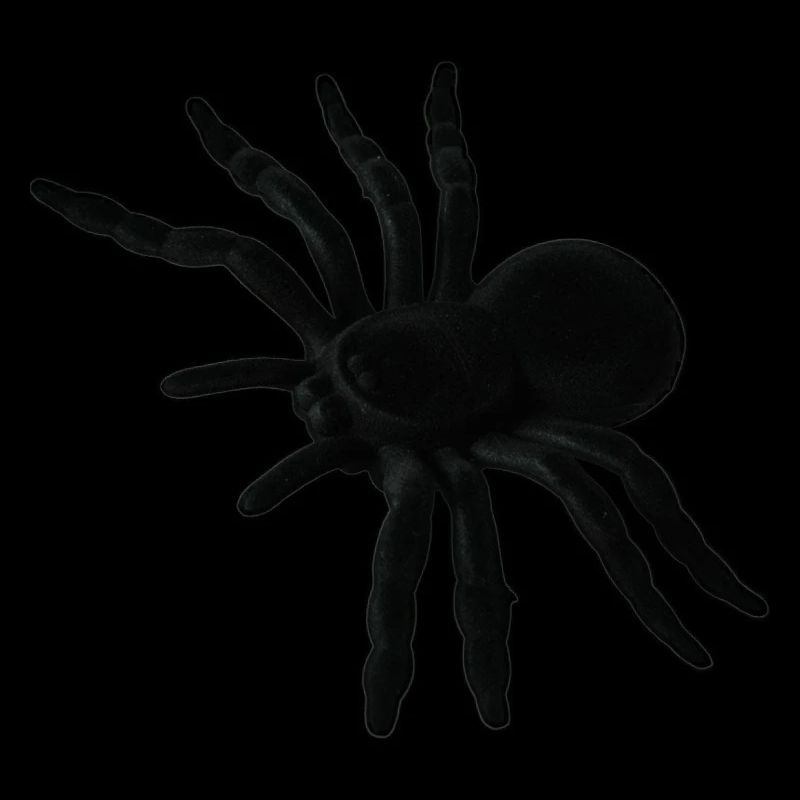 Spider Web, Spider Web, Spider Phobia, Disgusting Gift