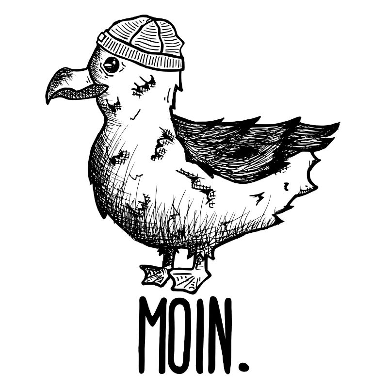 Möwe Moin