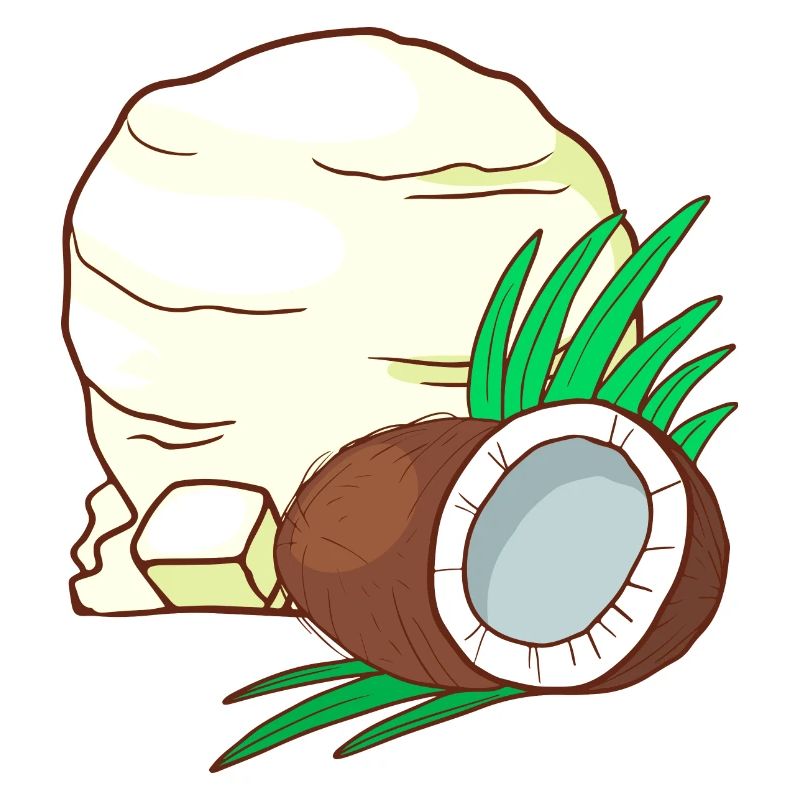 Crème glacée à la noix de coco crème glacée crème glacée crème glacée crème glacée