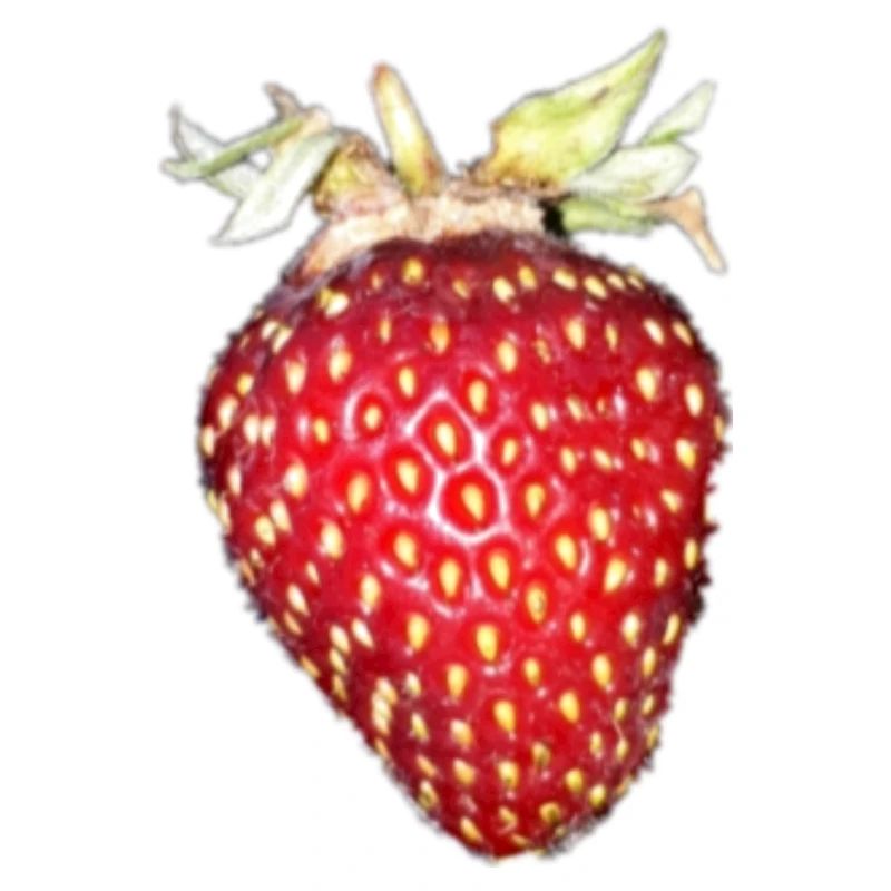 fraise