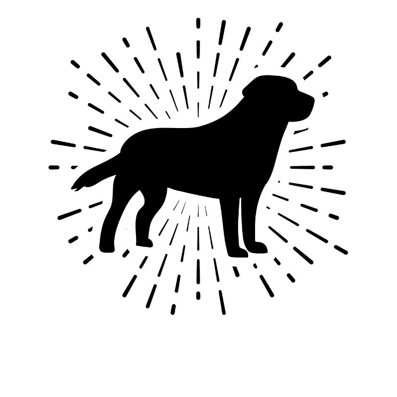 Feux d’artifice et chien -