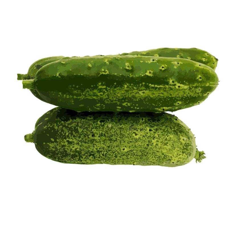 Cornichons