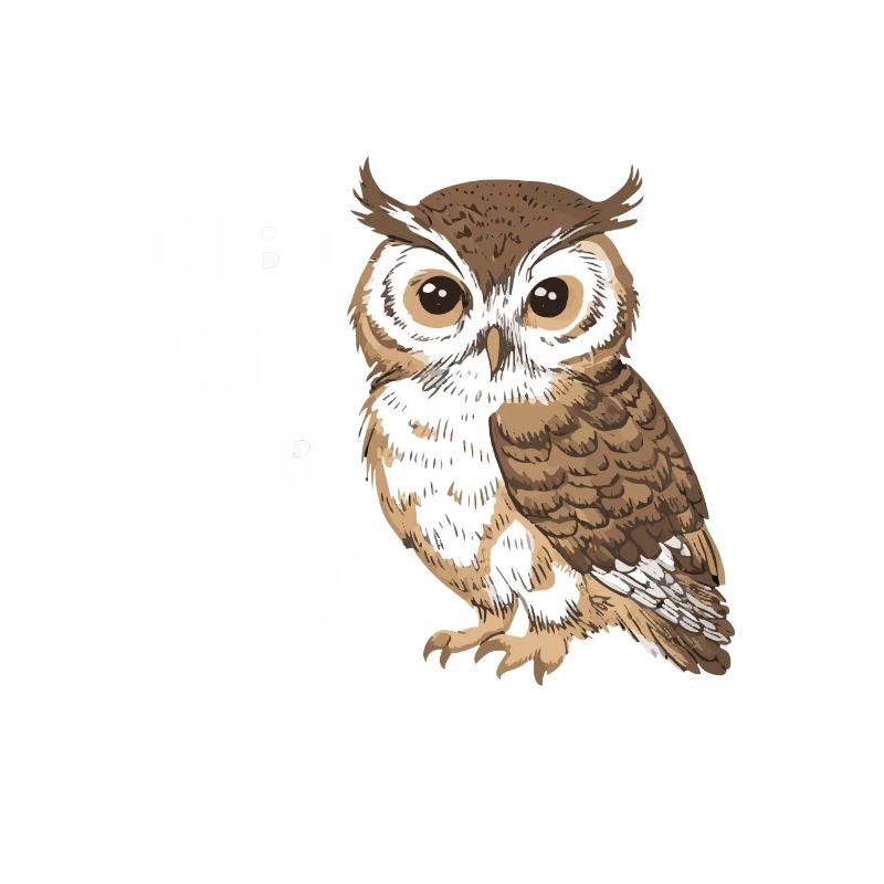 Nachteule Eule Eulen Vogel