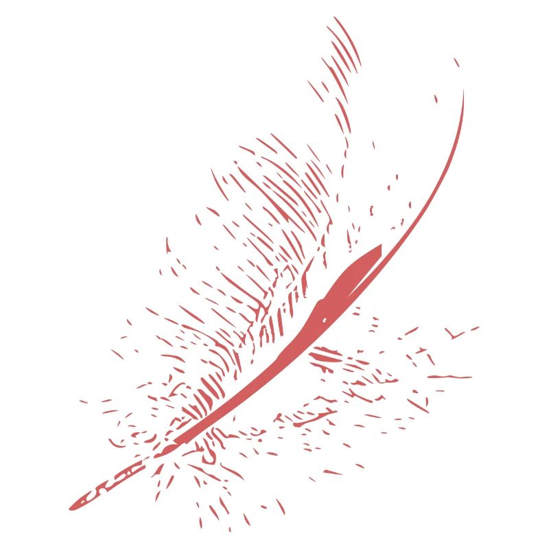 Abstract Feather / Line / Pink / Pattern / Nature