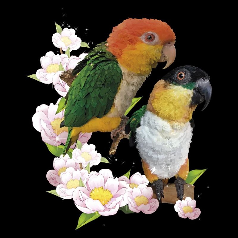 Der orangeköpfige Caique