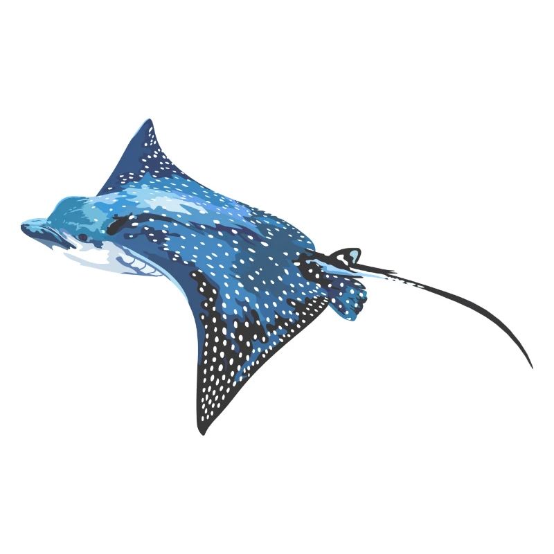 Rays, eagle rays, fish, sea creatures