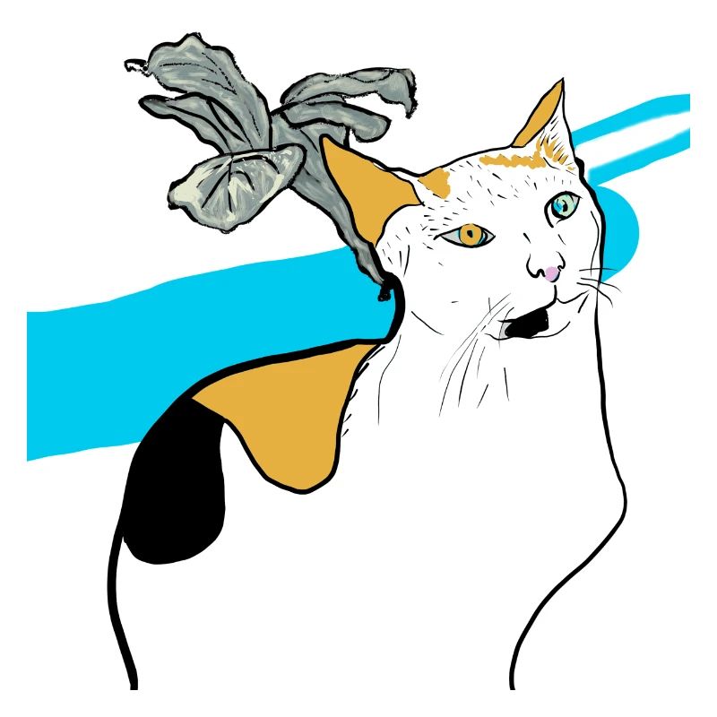 chat assis