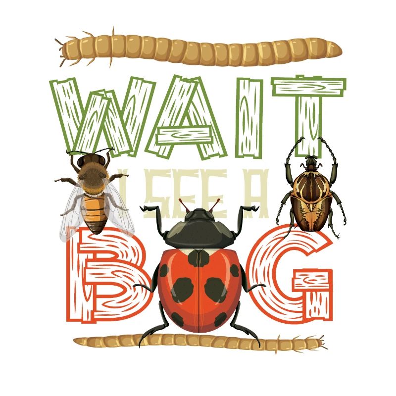 Wait, I see an insect