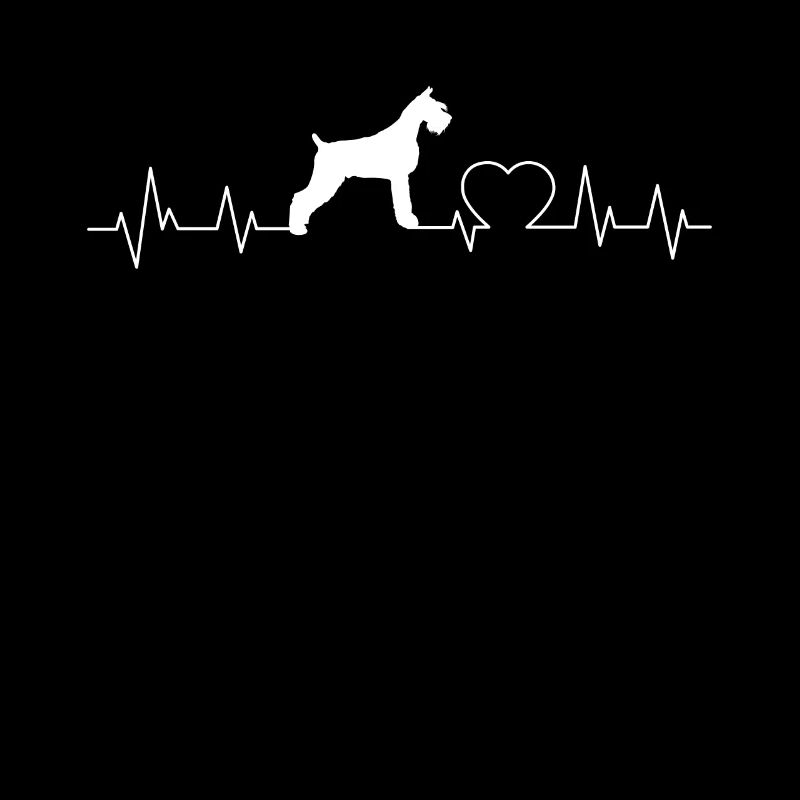 Schnauzer Géant Heartbeat Chiens Schnauzer