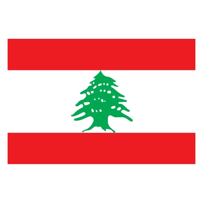 Liban drapeau libanais drapeau