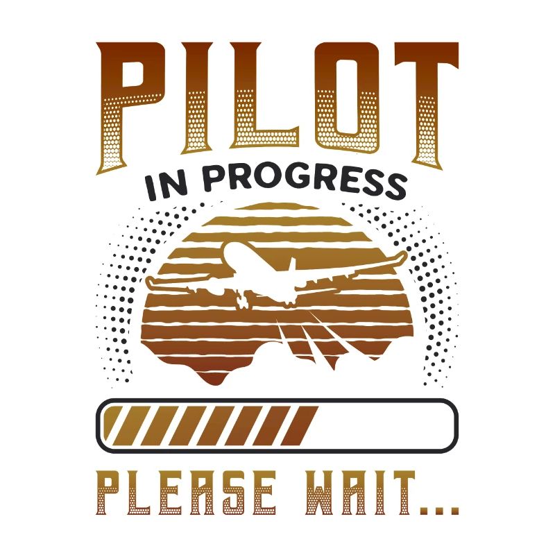 Pilot In Arbeit, Bitte Warten, Flugzeugtraining