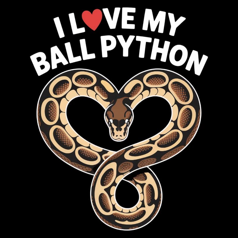 J’adore mon python royal ! Roi python