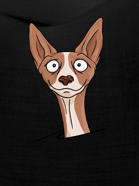 podenco