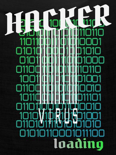 Anonymous, Hacker