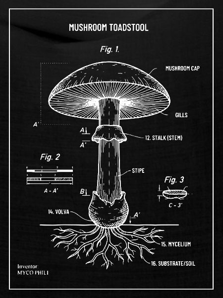 Toadstoolpilz-Blaupausendiagramm