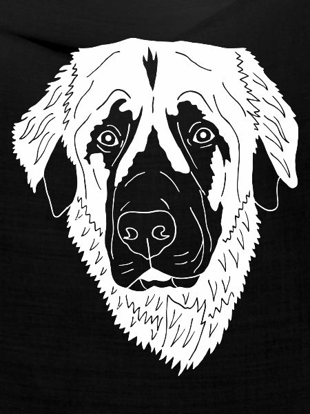Leonberger Mix