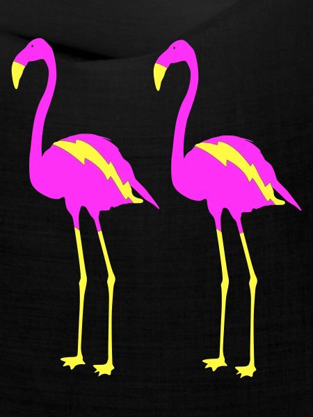 flamingos 2