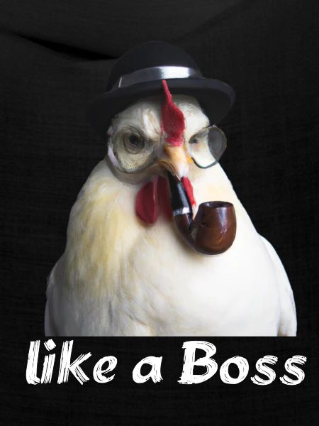 Hahn Boss