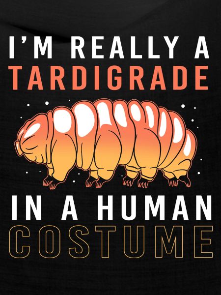 Bärtierchen Tardigrades Wasserbär Tardigrade