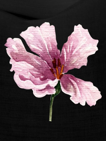 blume