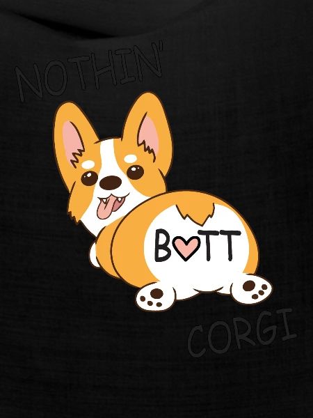 corgi