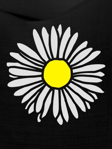 Gänseblümchen zweifarbig