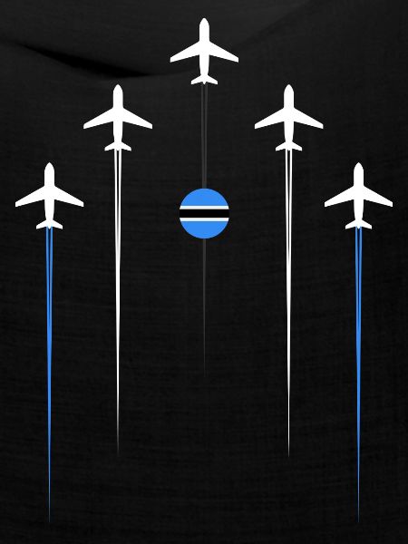 Botswana Airlines