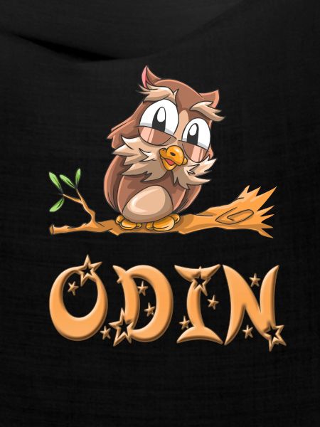 Eule Odin