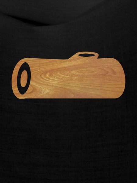 HOLZ