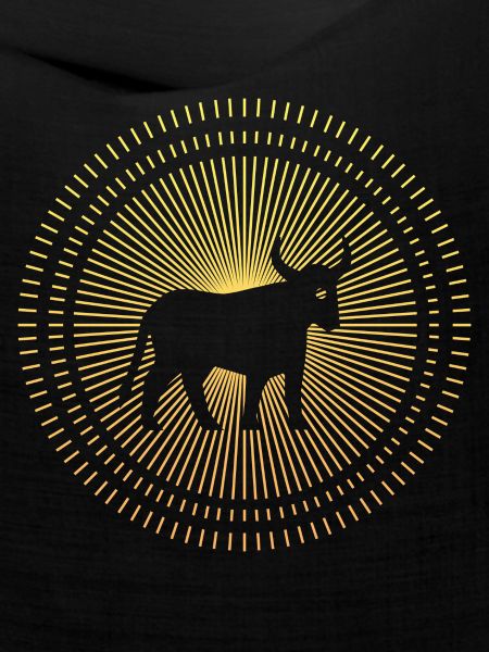 Stier als Sternzeichen