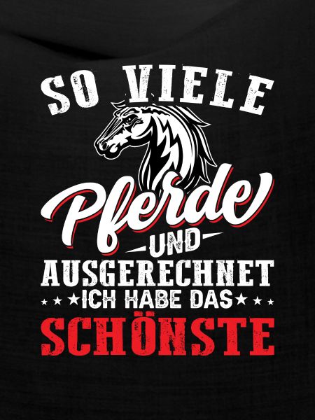 schönstes Pferd