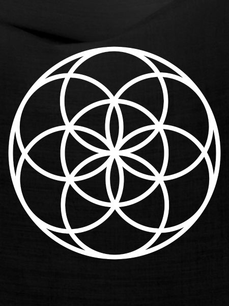 Samen des Lebens – Heilige Geometrie