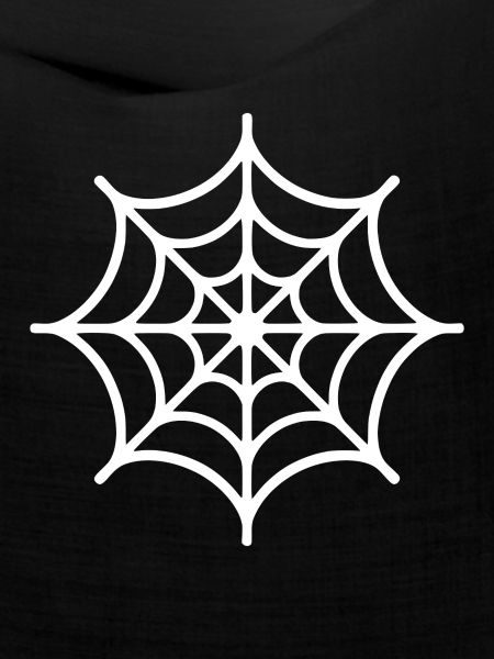 Spinnennetz Spinne