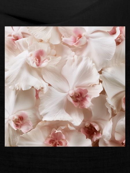Trendige, rosa-weiße Orchidee