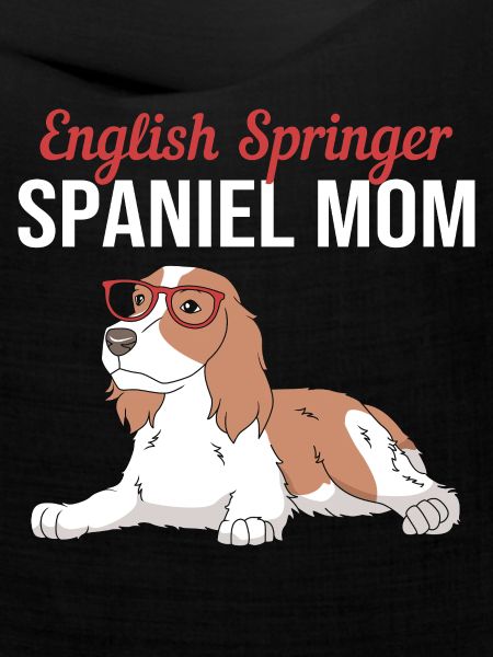 Springer Spaniel Hund