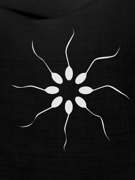 Spermien