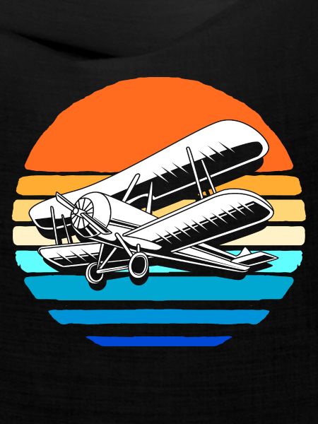 Modellflugzeug Modellflug