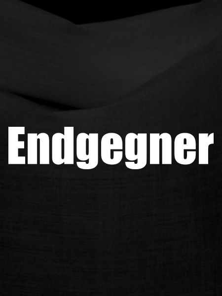 Endgegner