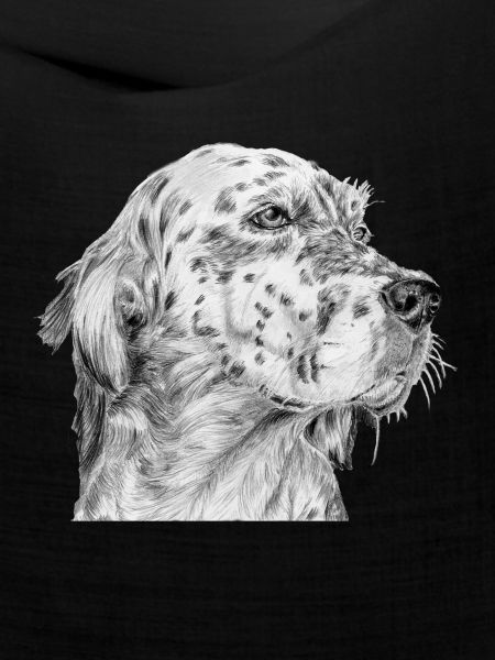 Englisch Englisch Setter