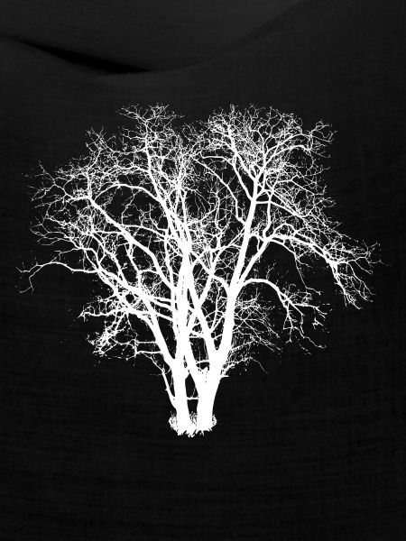 Baum Silhuette