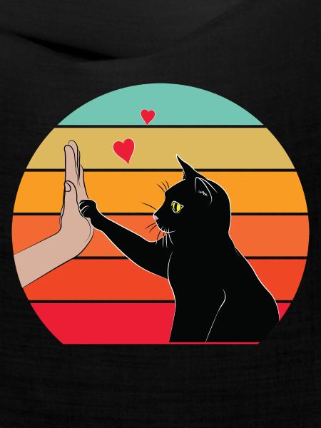 Katze High Five