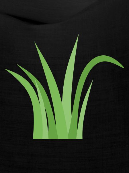 Gras
