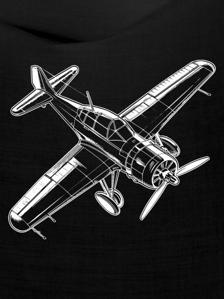 Propellerflugzeug