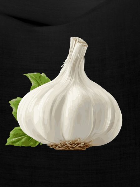Knoblauch