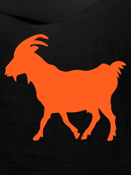 Ziege orange GOAT