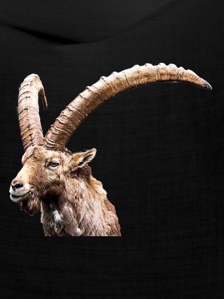 Steinbock