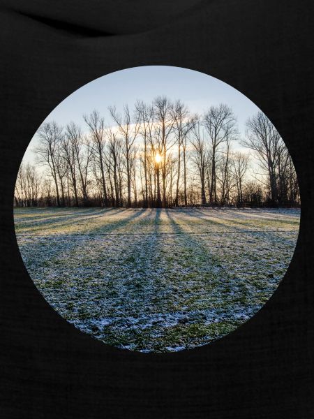 Winterliche Sonne