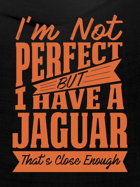 PERFEKT MIT JAGUAR Y.